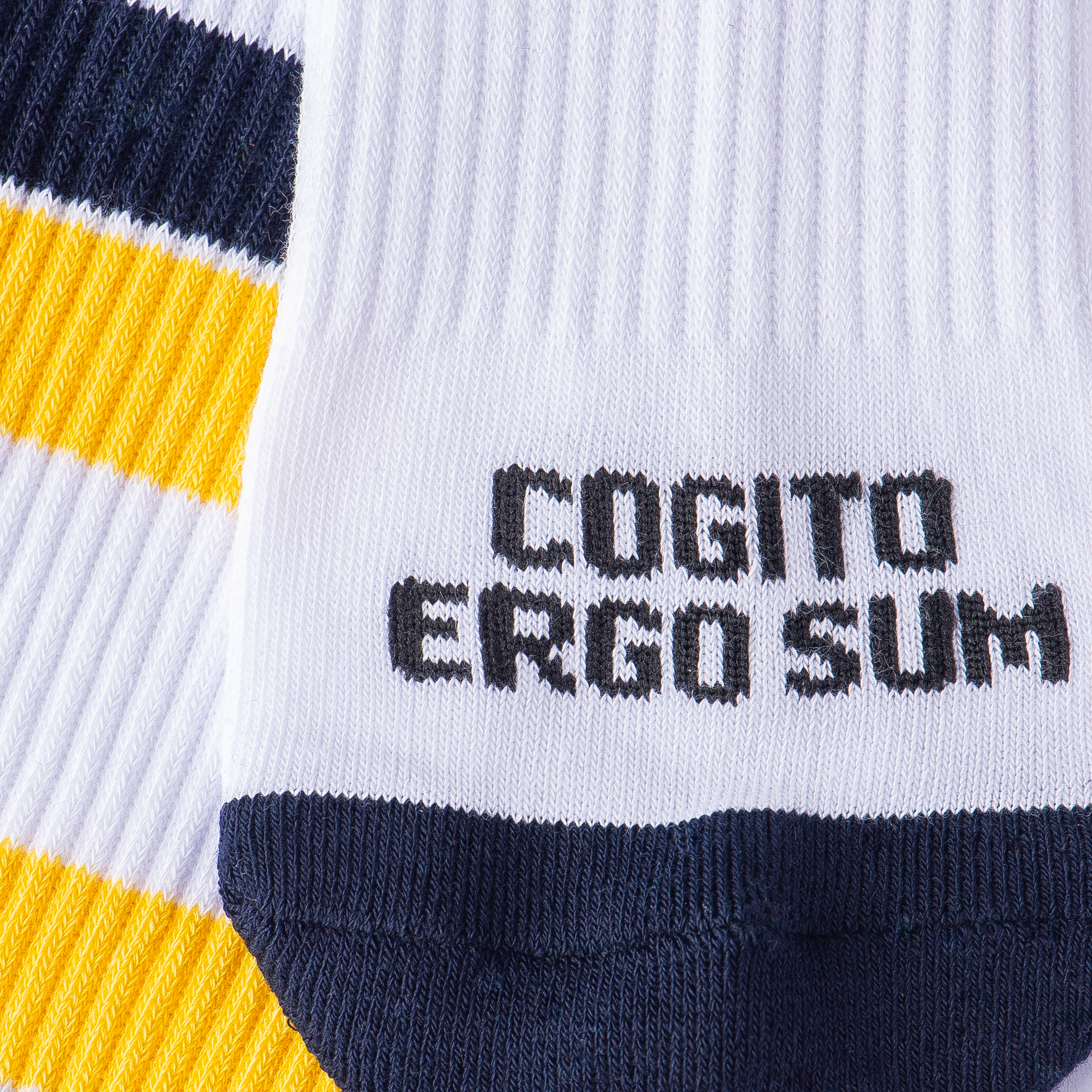 COGITO ERGO SUM 2